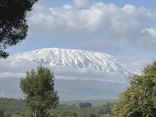 Photo from customer review