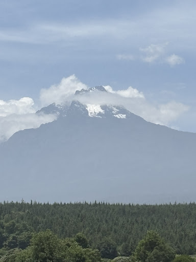 Photo from customer review