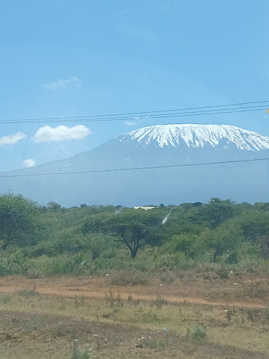 Photo from customer review