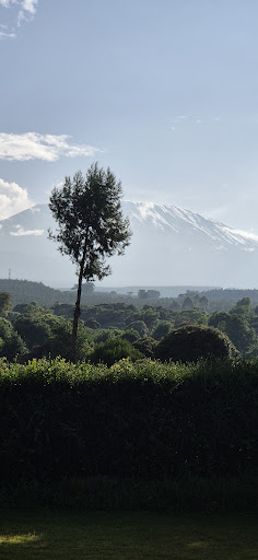 Photo from customer review