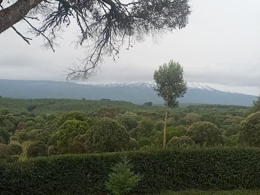 Photo from customer review