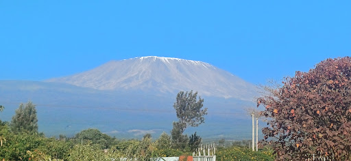 Photo from customer review