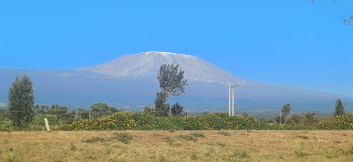 Photo from customer review