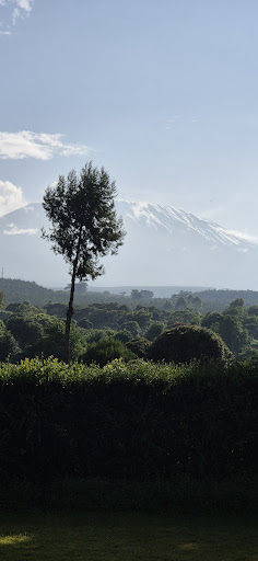 Photo from customer review