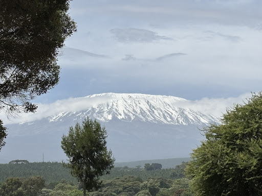 Photo from customer review